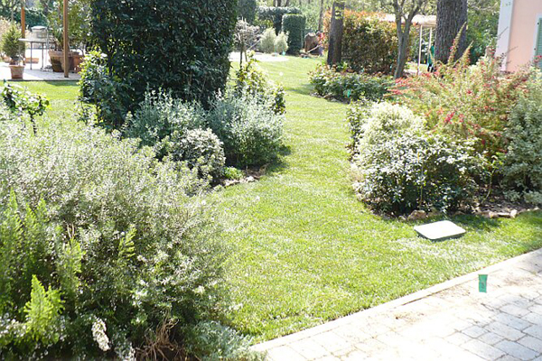 Realizzazione giardini